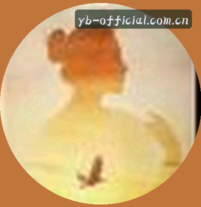 王先生